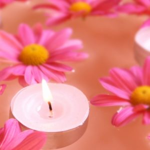 外出先ですぐいなくなる子にも効果的な「スコトーマ」とは？！